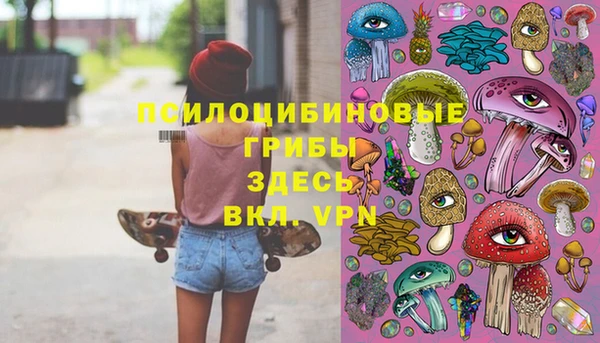 СК Заволжск