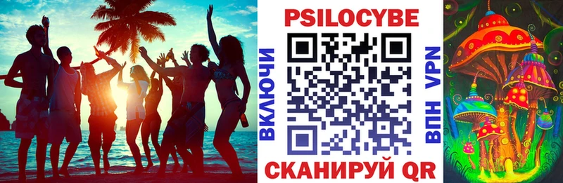 Купить  Верхняя Тура  Псилоцибиновые грибы мицелий 